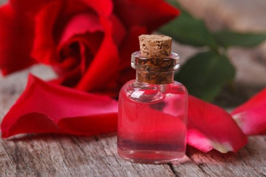 Rose & Oud: The Classic Combination That Never Fails
