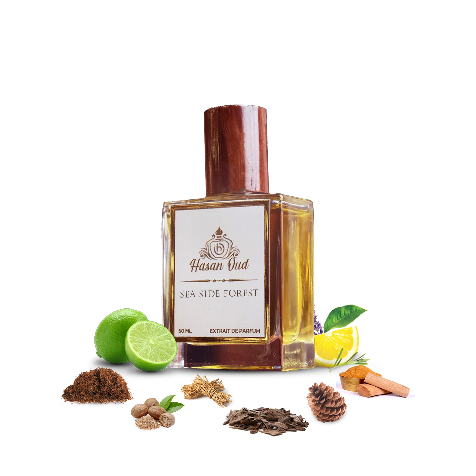 SEA SIDE FOREST Premium Fragrances by Hasanoud extrait de parfum Powerful vetiver Fragrance