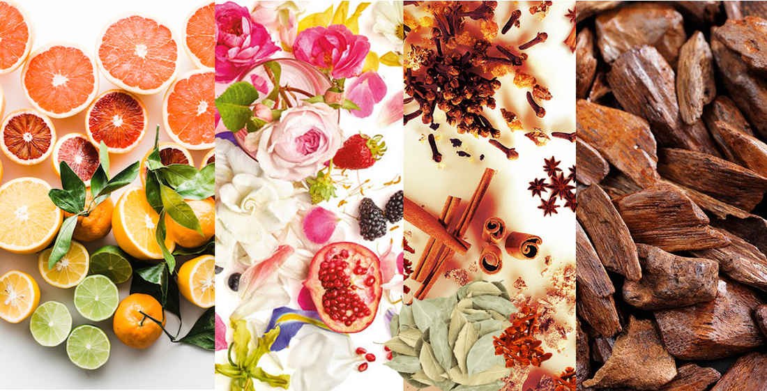 Perfume Ingredients: From Flowers to Exotic Extracts
