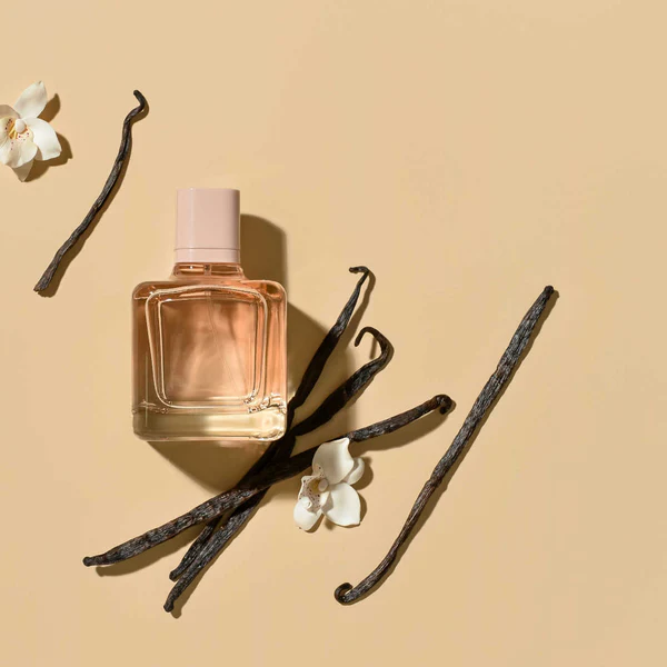 Top 5 Most Popular Vanilla Scented Perfumes A Blog Featuring The Top