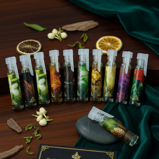 Perfumer Notes Kit Timeless Perfumery Notes – 20ml Set by Hasan Oud